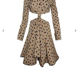 Proenza Schouler Dot Printed Cut-Out Shirt Dress